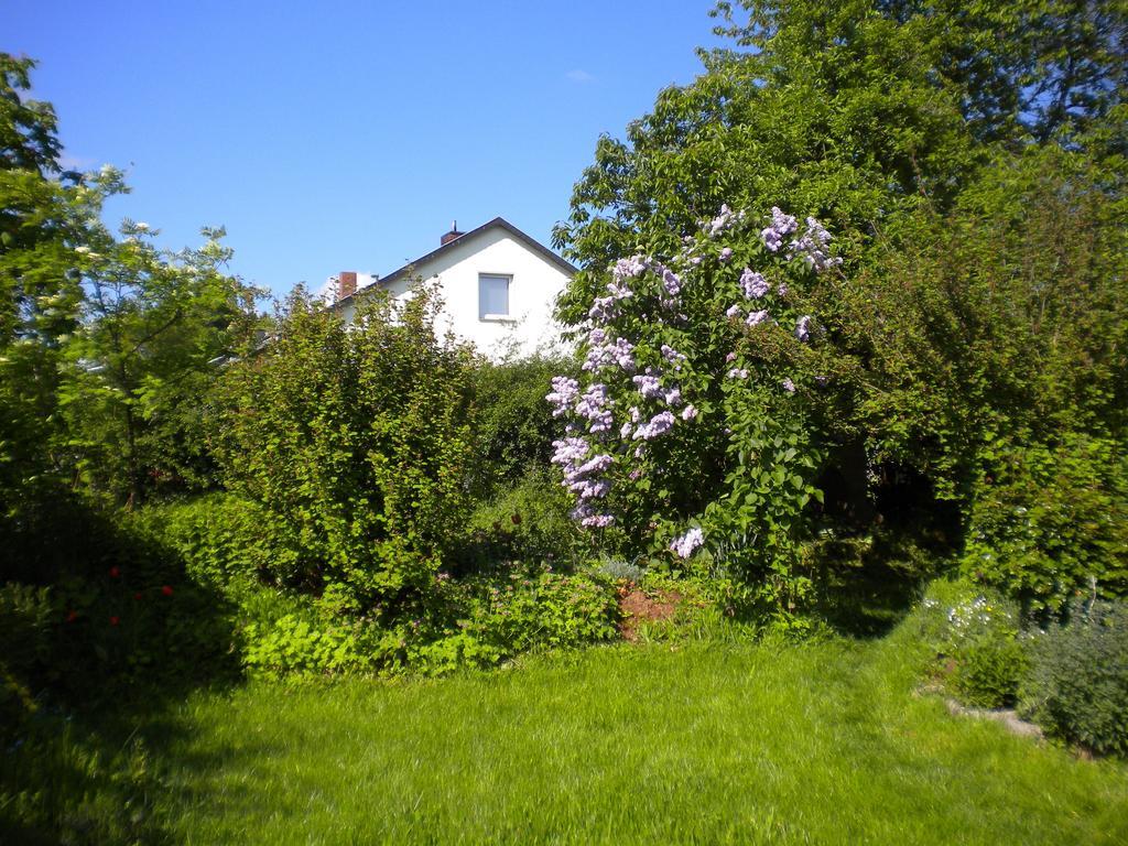 Ferienwohnung Eifelstueffje Mechernich Exterior foto