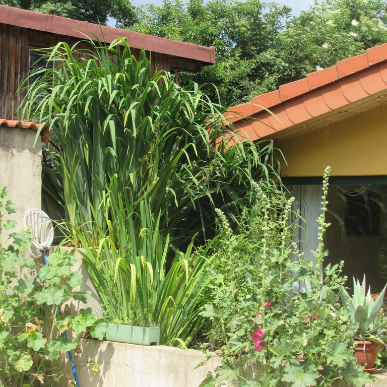 Ferienwohnung Eifelstueffje Mechernich Exterior foto